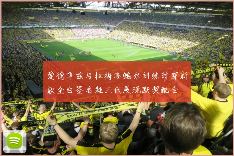 爱德华兹与拉梅洛鲍尔训练时穿新款全白签名鞋三代展现默契配合
